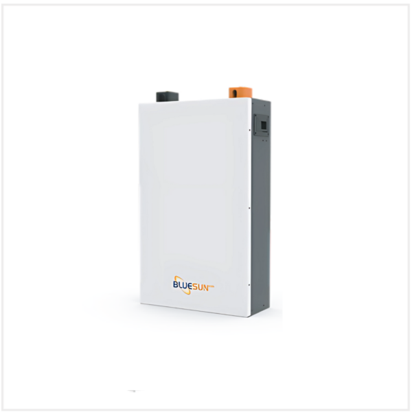 Wall Mounted Low Voltage Lithium Battery - BSM48100W